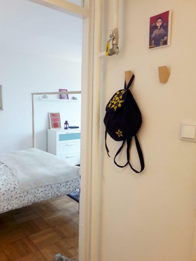 Brand New Cosy Apartment ザグレブ エクステリア 写真